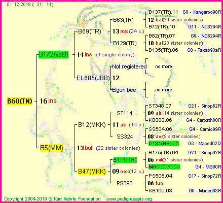 Pedigree of B60(TN) :
four generations presented<br />it's temporarily unavailable, sorry!