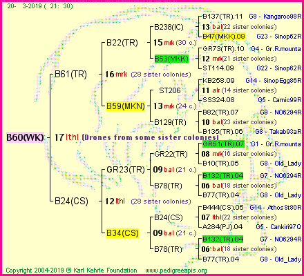 Pedigree of B60(WK) :
four generations presented
it's temporarily unavailable, sorry!