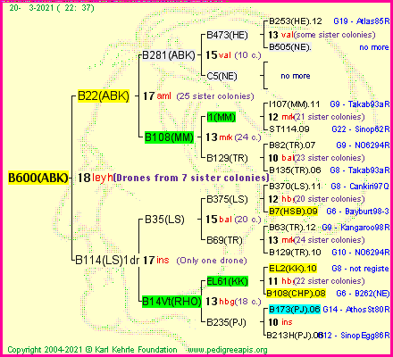 Pedigree of B600(ABK) :
four generations presented
it's temporarily unavailable, sorry!