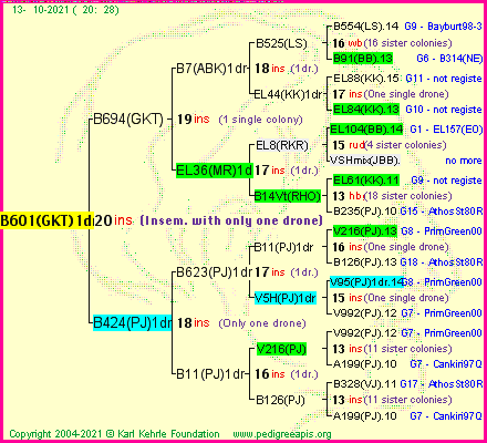 Pedigree of B601(GKT)1dr :
four generations presented
it's temporarily unavailable, sorry!