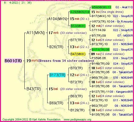 Pedigree of B601(TR) :
four generations presented
it's temporarily unavailable, sorry!