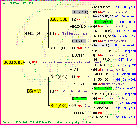 Pedigree of B602(GBE) :
four generations presented
it's temporarily unavailable, sorry!