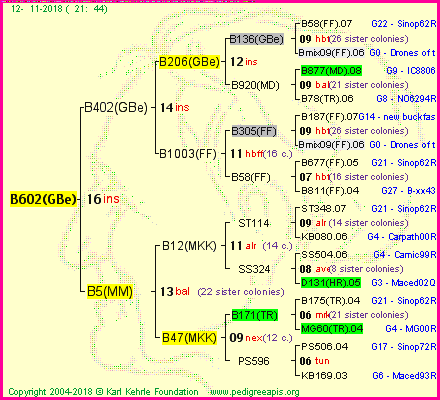 Pedigree of B602(GBe) :
four generations presented<br />it's temporarily unavailable, sorry!