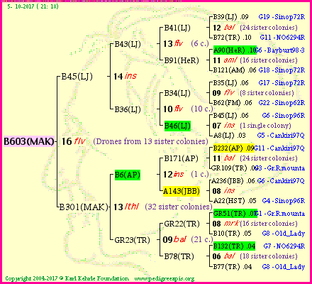 Pedigree of B603(MAK) :
four generations presented<br />it's temporarily unavailable, sorry!