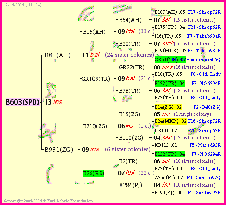 Pedigree of B603(SPD) :
four generations presented