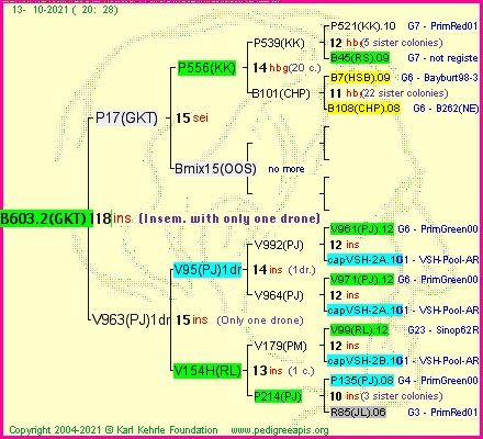 Pedigree of B603.2(GKT)1dr :
four generations presented
it's temporarily unavailable, sorry!