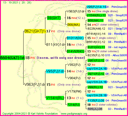 Pedigree of B604(GKT)1dr :
four generations presented
it's temporarily unavailable, sorry!