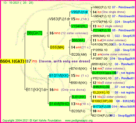 Pedigree of B604.1(GKT)1dr :
four generations presented
it's temporarily unavailable, sorry!