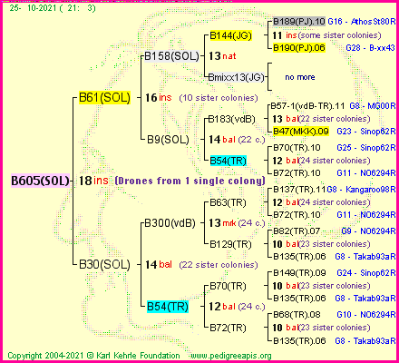 Pedigree of B605(SOL) :
four generations presented
it's temporarily unavailable, sorry!