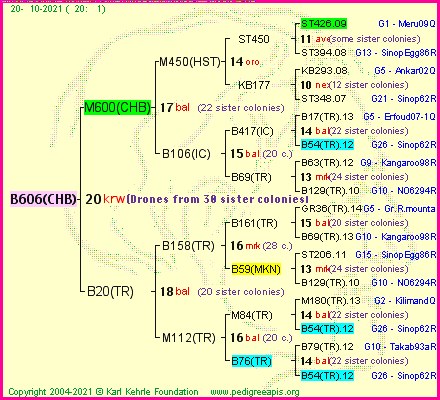 Pedigree of B606(CHB) :
four generations presented
it's temporarily unavailable, sorry!