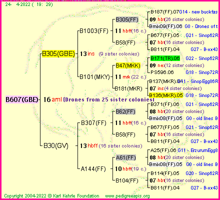 Pedigree of B607(GBE) :
four generations presented
it's temporarily unavailable, sorry!