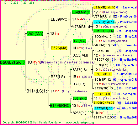 Pedigree of B608.2(GKT) :
four generations presented
it's temporarily unavailable, sorry!