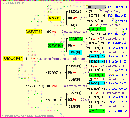 Pedigree of B60w(JYL) :
four generations presented