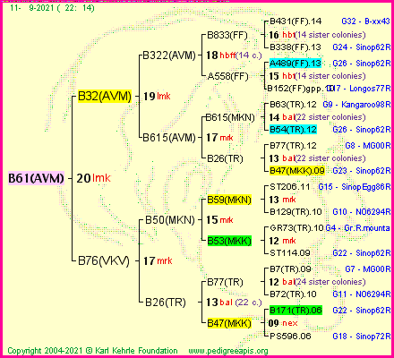 Pedigree of B61(AVM) :
four generations presented
it's temporarily unavailable, sorry!