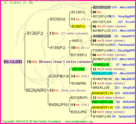 Pedigree of B61(GDR) :
four generations presented<br />it's temporarily unavailable, sorry!