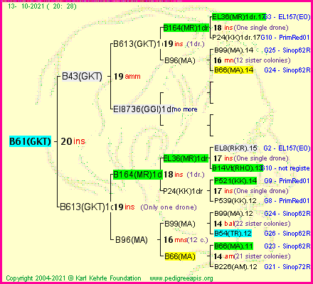 Pedigree of B61(GKT) :
four generations presented
it's temporarily unavailable, sorry!