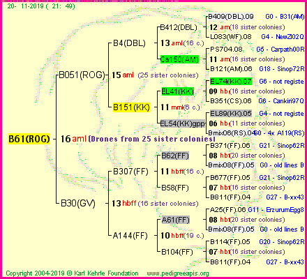 Pedigree of B61(ROG) :
four generations presented<br />it's temporarily unavailable, sorry!