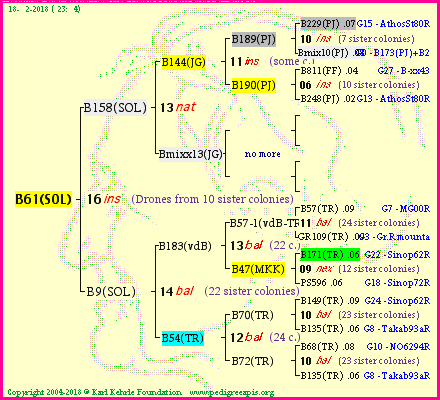 Pedigree of B61(SOL) :
four generations presented
it's temporarily unavailable, sorry!