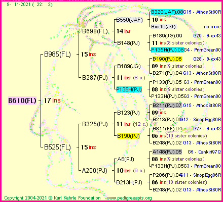 Pedigree of B610(FL) :
four generations presented
it's temporarily unavailable, sorry!