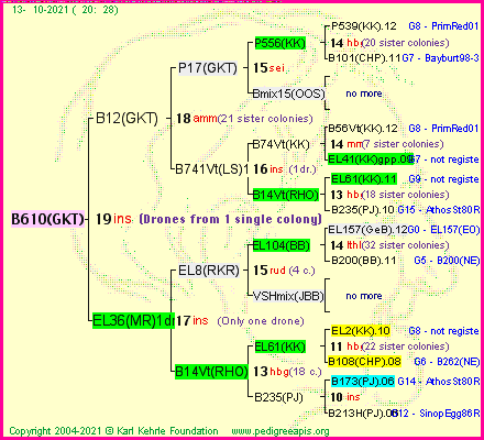 Pedigree of B610(GKT) :
four generations presented
it's temporarily unavailable, sorry!