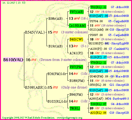 Pedigree of B610(VAL) :
four generations presented