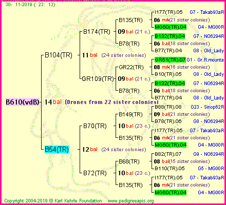 Pedigree of B610(vdB) :
four generations presented<br />it's temporarily unavailable, sorry!