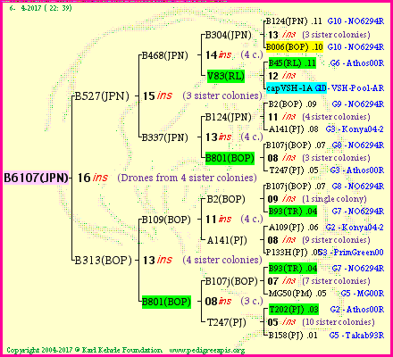 Pedigree of B6107(JPN) :
four generations presented