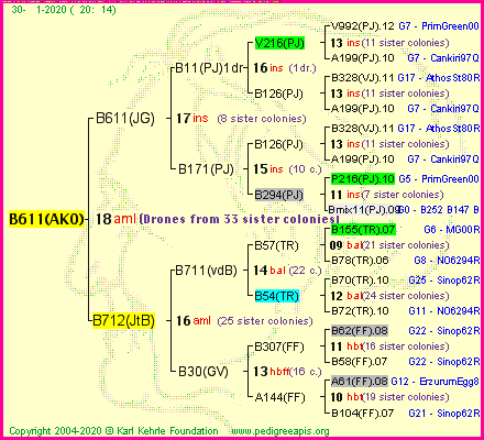 Pedigree of B611(AKO) :
four generations presented<br />it's temporarily unavailable, sorry!