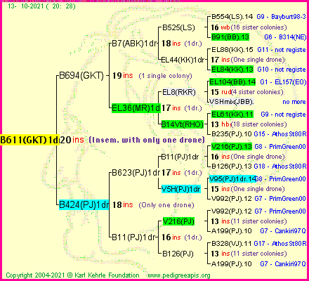 Pedigree of B611(GKT)1dr :
four generations presented
it's temporarily unavailable, sorry!