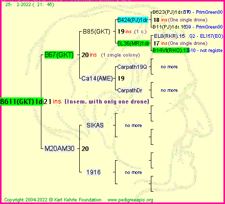 Pedigree of B611(GKT)1dr :
four generations presented
it's temporarily unavailable, sorry!