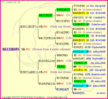 Pedigree of B612(BOP) :
four generations presented