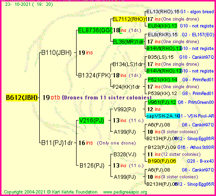 Pedigree of B612(JBH) :
four generations presented
it's temporarily unavailable, sorry!