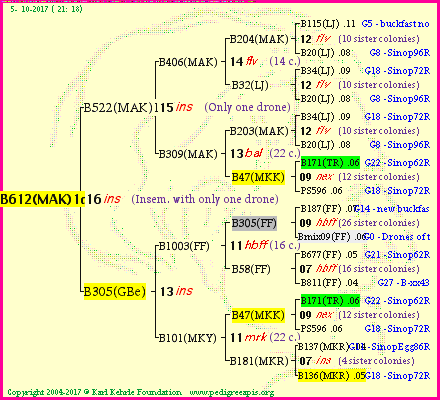 Pedigree of B612(MAK)1dr :
four generations presented