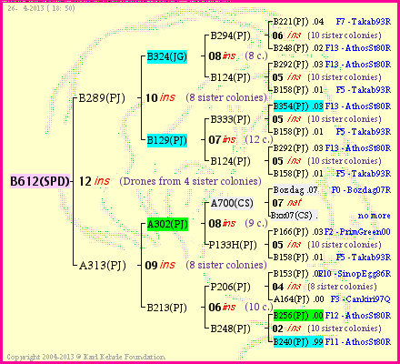 Pedigree of B612(SPD) :
four generations presented