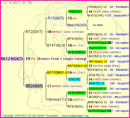 Pedigree of B6124(GKT) :
four generations presented
it's temporarily unavailable, sorry!