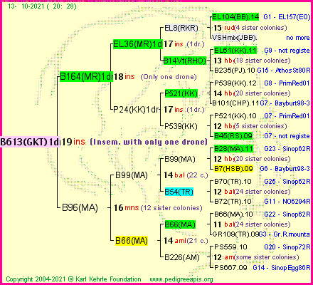 Pedigree of B613(GKT)1dr :
four generations presented
it's temporarily unavailable, sorry!