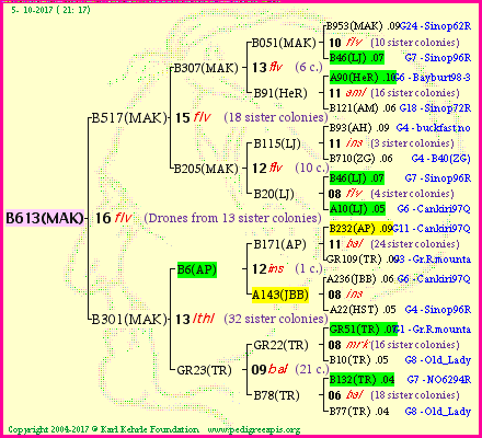 Pedigree of B613(MAK) :
four generations presented<br />it's temporarily unavailable, sorry!