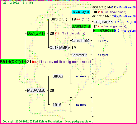 Pedigree of B614(GKT)1dr :
four generations presented
it's temporarily unavailable, sorry!