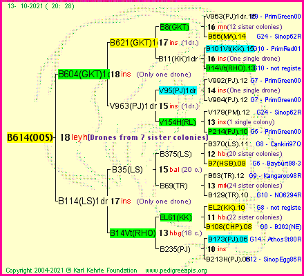 Pedigree of B614(OOS) :
four generations presented
it's temporarily unavailable, sorry!