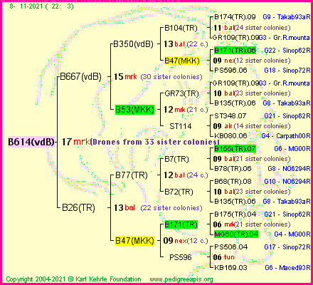 Pedigree of B614(vdB) :
four generations presented
it's temporarily unavailable, sorry!