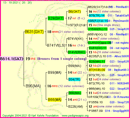 Pedigree of B614.1(GKT) :
four generations presented
it's temporarily unavailable, sorry!