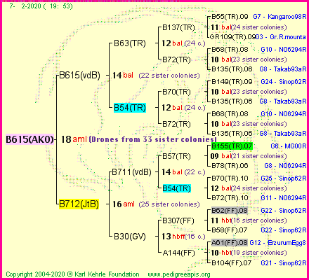 Pedigree of B615(AKO) :
four generations presented<br />it's temporarily unavailable, sorry!