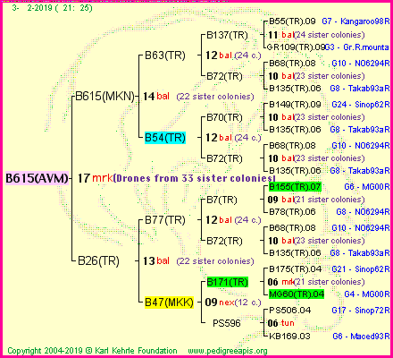 Pedigree of B615(AVM) :
four generations presented
it's temporarily unavailable, sorry!