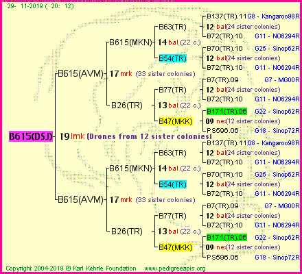 Pedigree of B615(DSJ) :
four generations presented
it's temporarily unavailable, sorry!