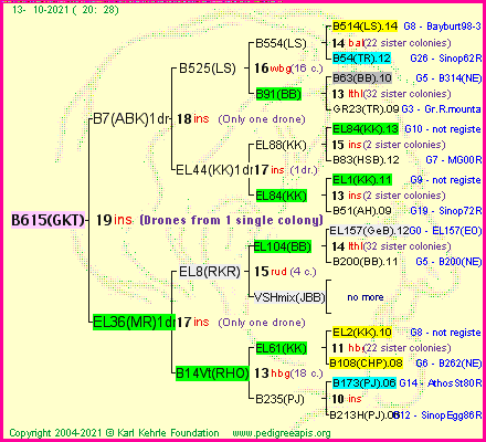 Pedigree of B615(GKT) :
four generations presented
it's temporarily unavailable, sorry!