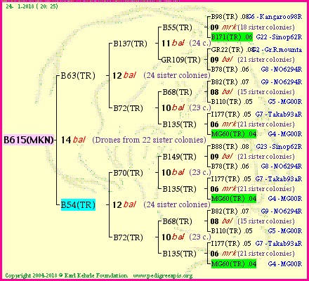 Pedigree of B615(MKN) :
four generations presented