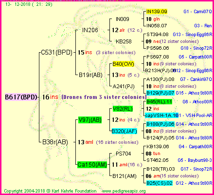 Pedigree of B617(BPD) :
four generations presented<br />it's temporarily unavailable, sorry!