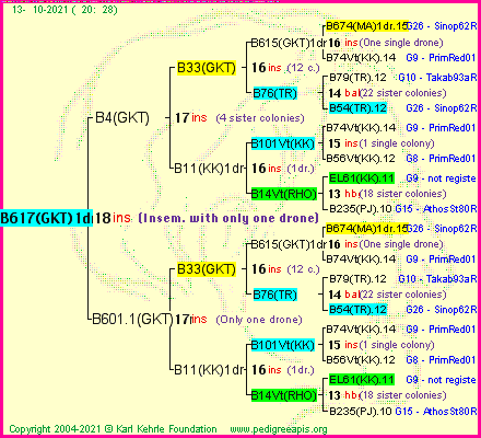 Pedigree of B617(GKT)1dr :
four generations presented
it's temporarily unavailable, sorry!