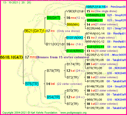 Pedigree of B618.1(GKT) :
four generations presented
it's temporarily unavailable, sorry!