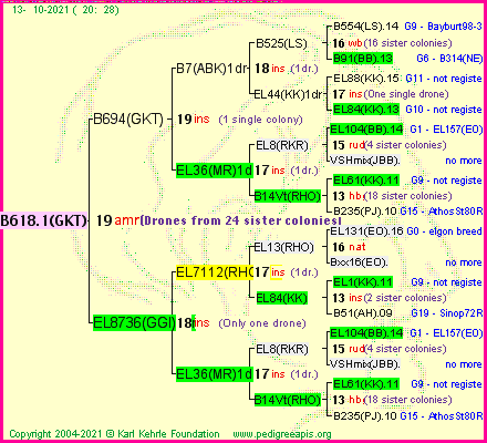 Pedigree of B618.1(GKT) :
four generations presented
it's temporarily unavailable, sorry!